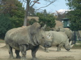 img0024.jpg