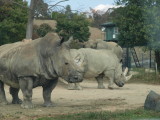 img0025.jpg