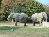 img0027.jpg