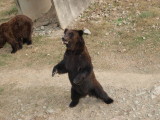 img0030.jpg