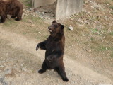 img0031.jpg