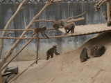 img0033.jpg