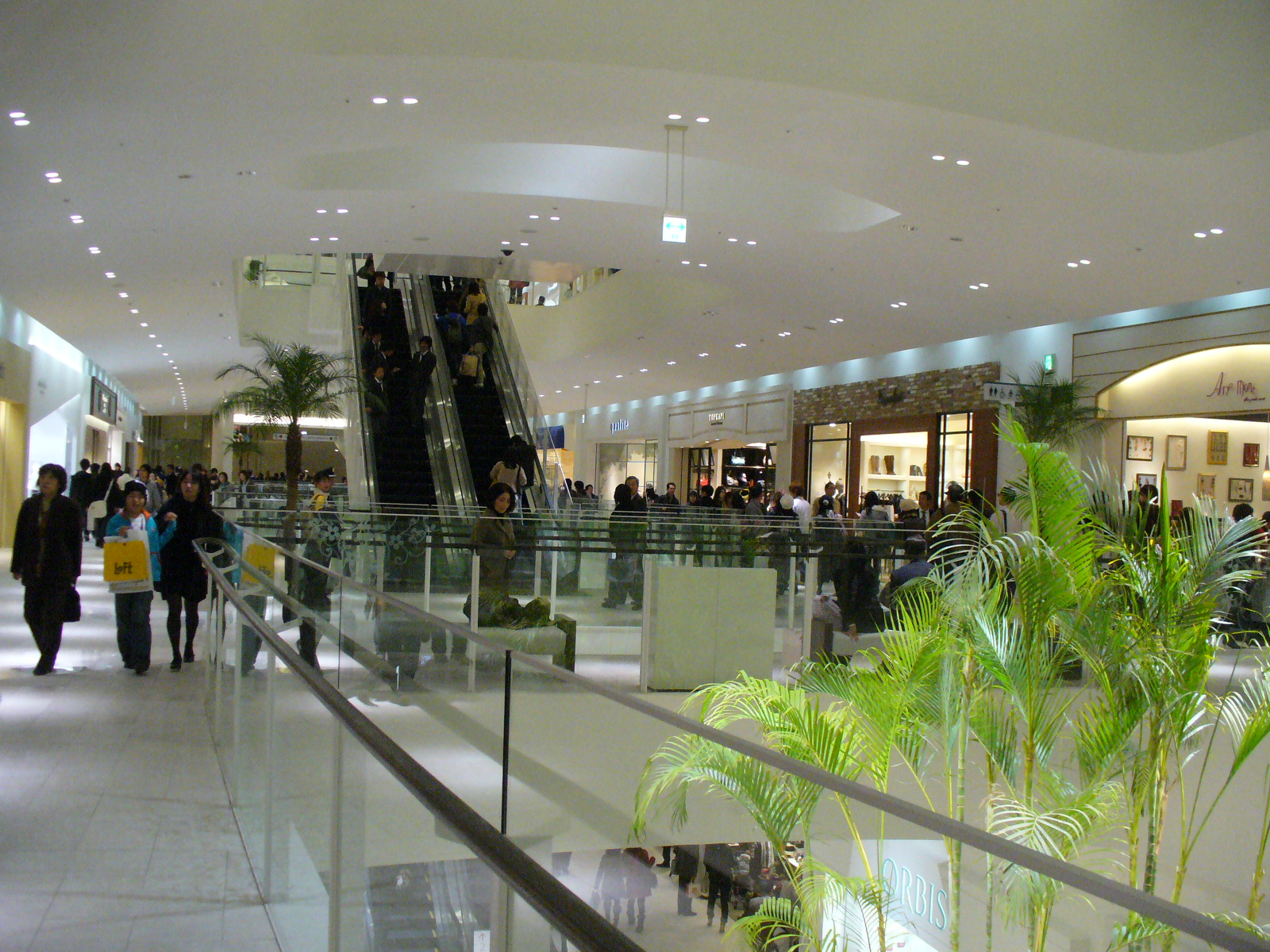 P1110446.JPG