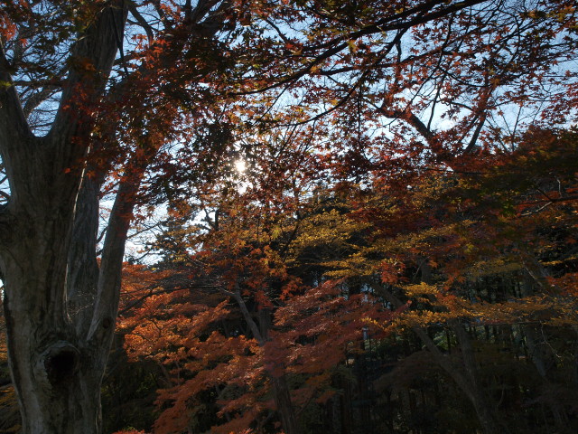 img0020.jpg
