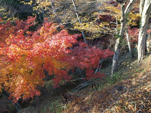 img0022.jpg