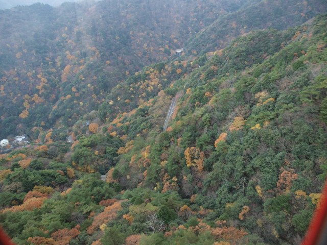 img0056.jpg