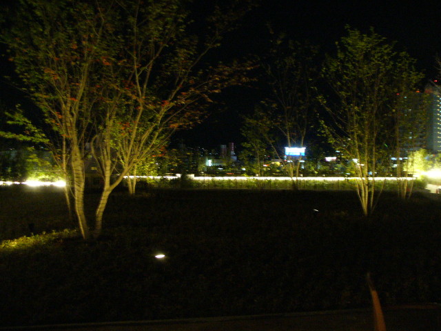 img0062.jpg