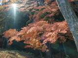 img0021.jpg