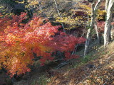 img0022.jpg