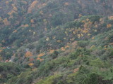 img0055.jpg