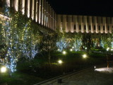 img0060.jpg
