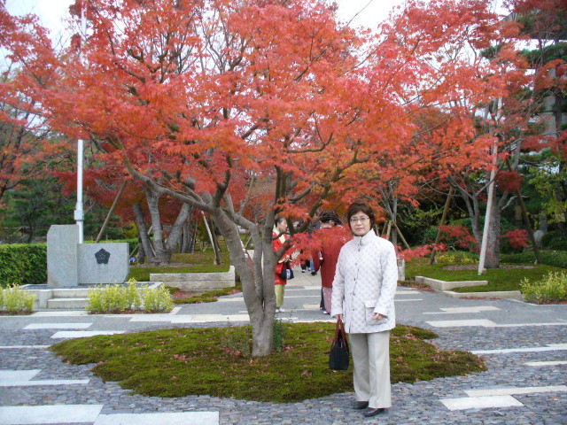img0005.jpg
