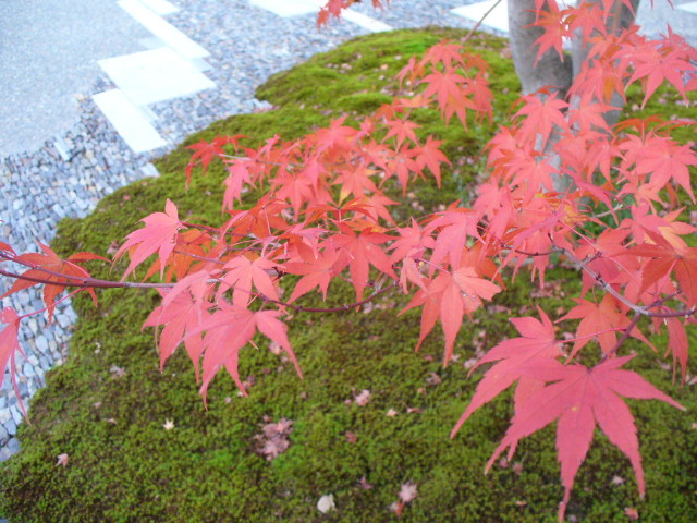 img0006.jpg
