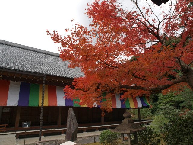 img0016.jpg