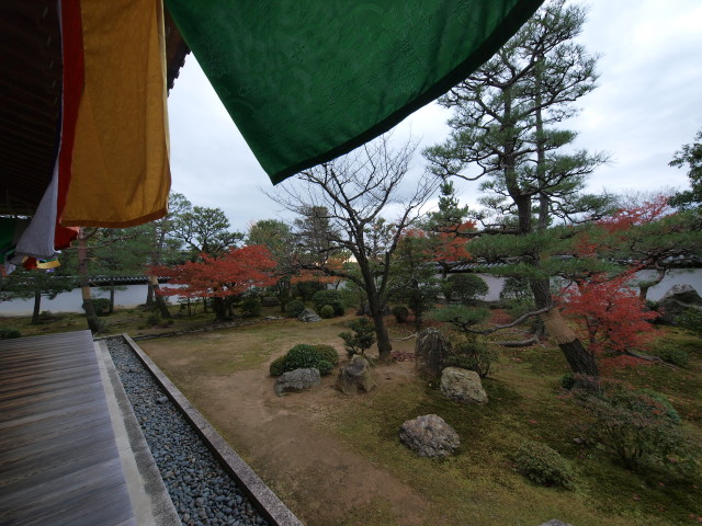 img0031.jpg