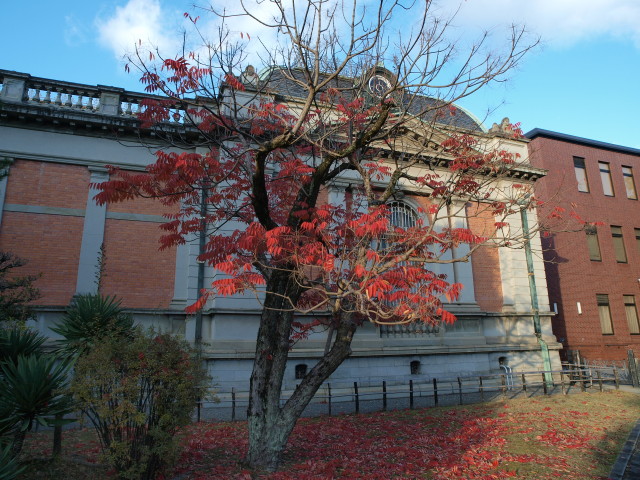 img0038.jpg