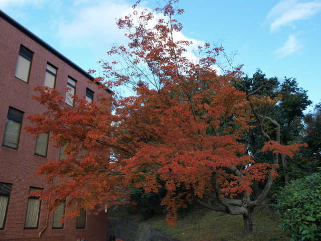 img0040.jpg