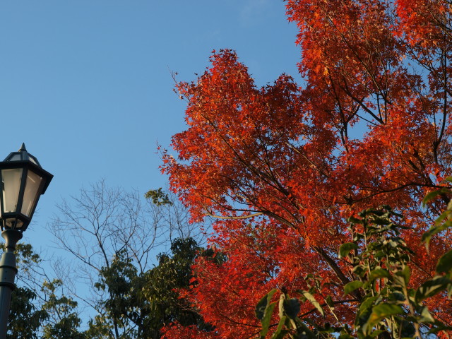 img0046.jpg
