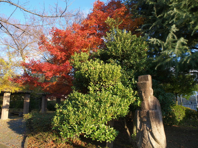 img0053.jpg
