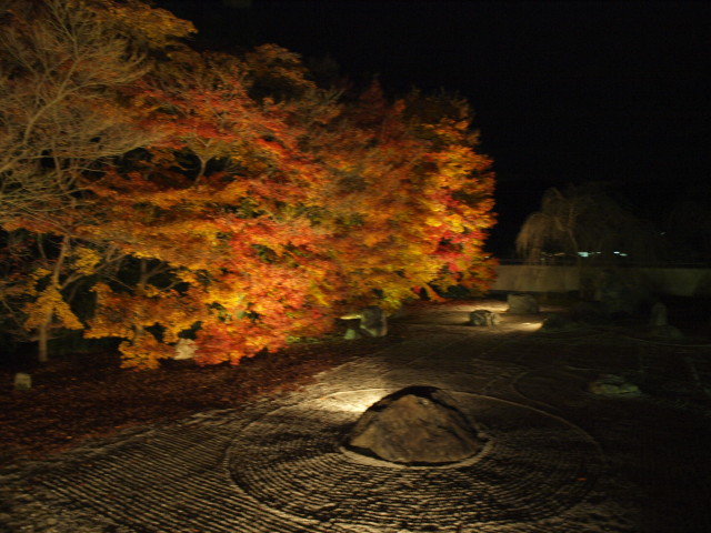 img0069.jpg