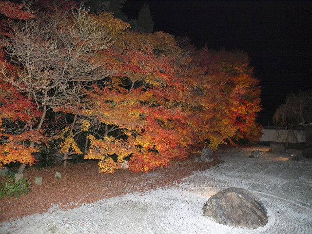 img0071.jpg