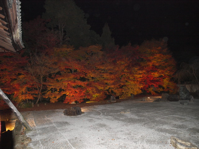 img0073.jpg