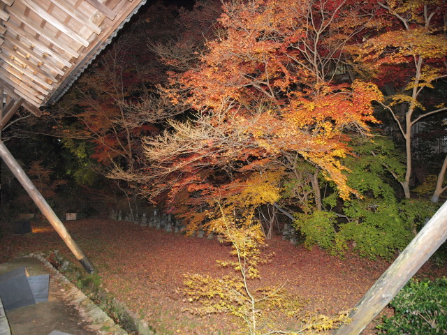 img0077.jpg