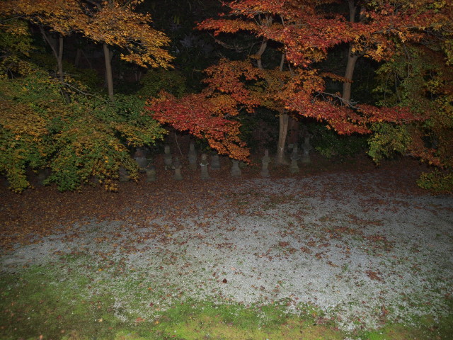img0079.jpg
