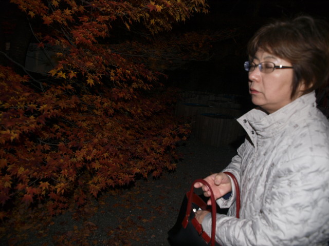 img0083.jpg