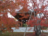 img0007.jpg