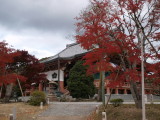 img0011.jpg