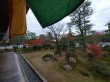 img0031.jpg