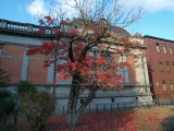 img0038.jpg