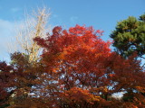 img0049.jpg