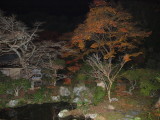 img0075.jpg