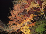 img0078.jpg