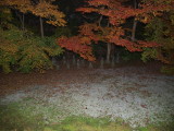img0079.jpg