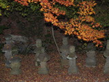 img0081.jpg