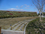 img0002.jpg