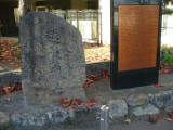 img0009.jpg