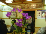 img0005.jpg