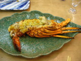 img0010.jpg