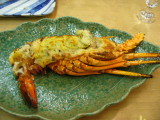 img0011.jpg