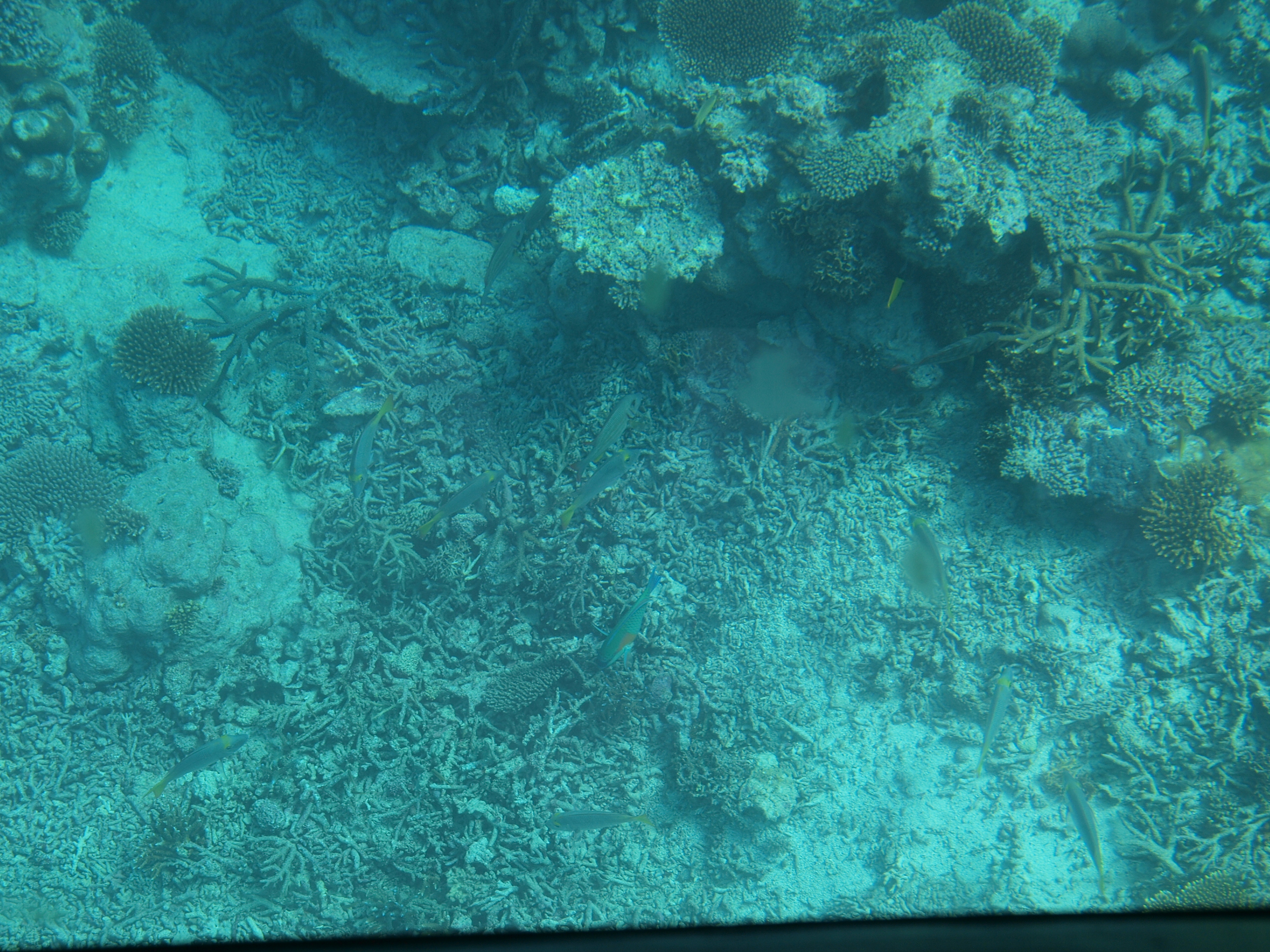 PC272535.JPG
