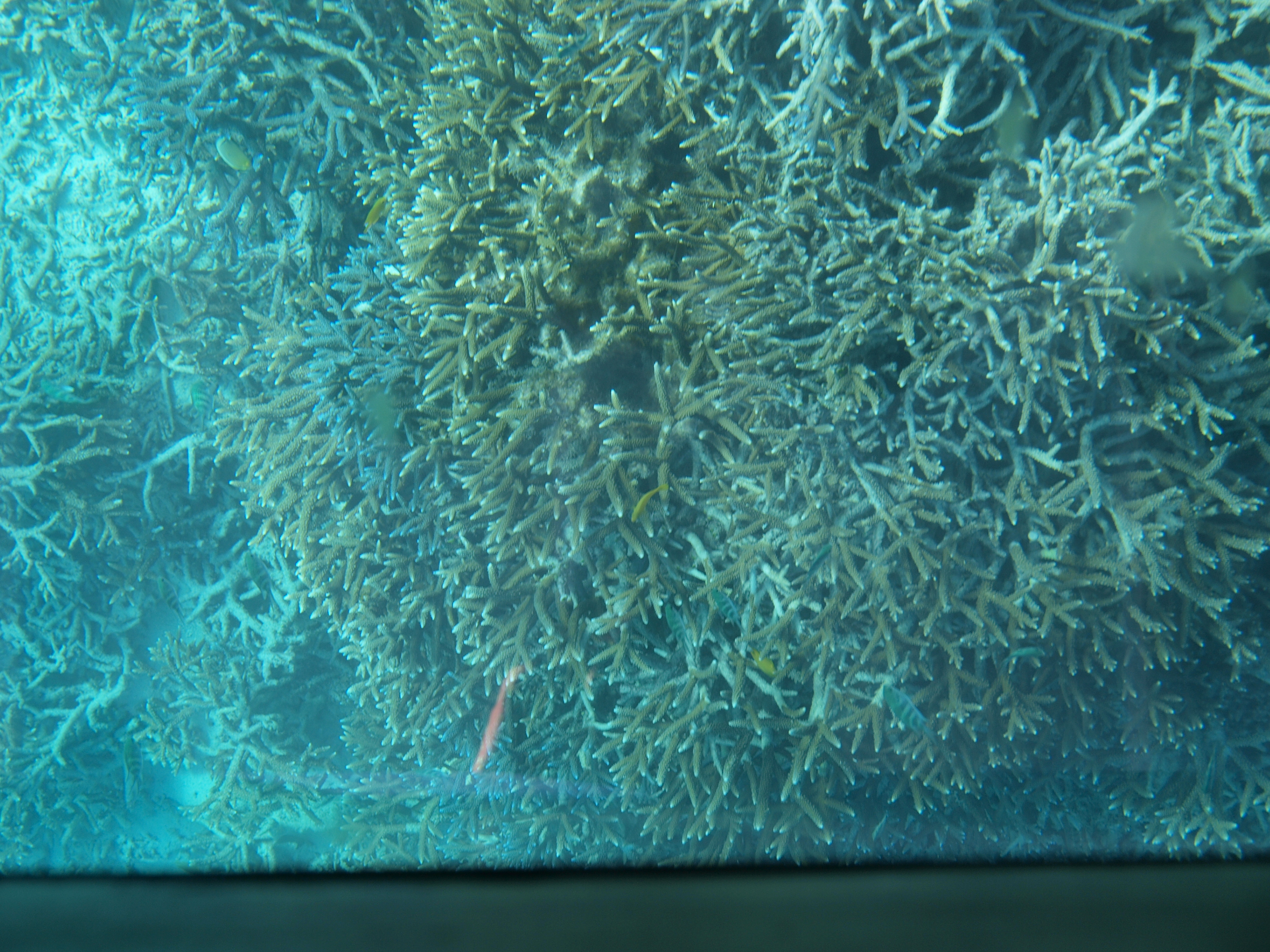 PC272541.JPG
