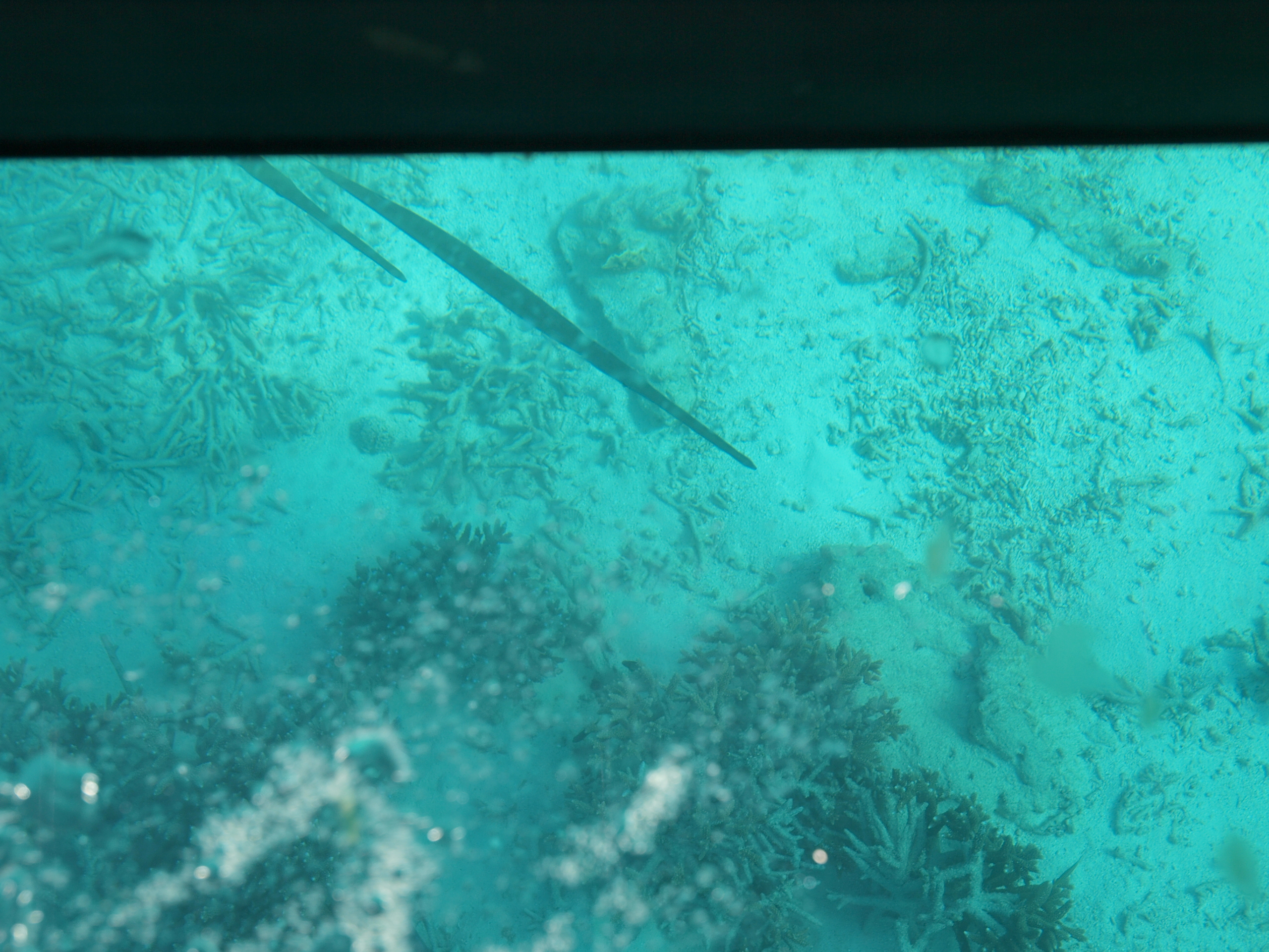 PC272542.JPG