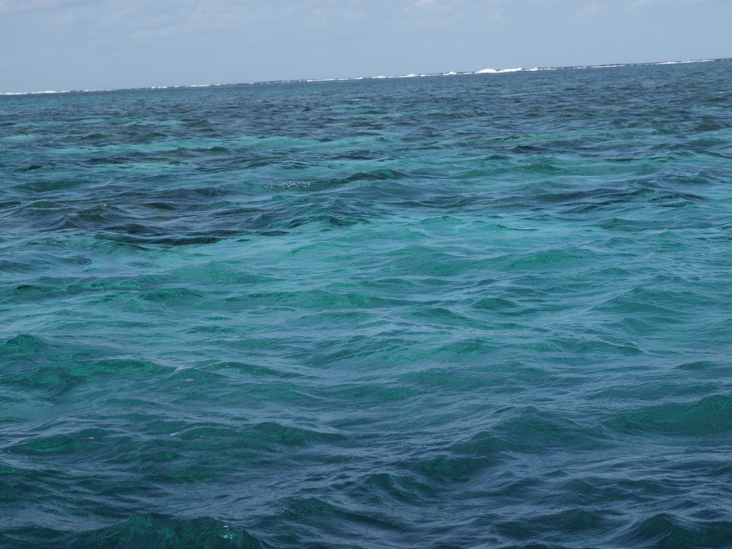 PC272543.JPG
