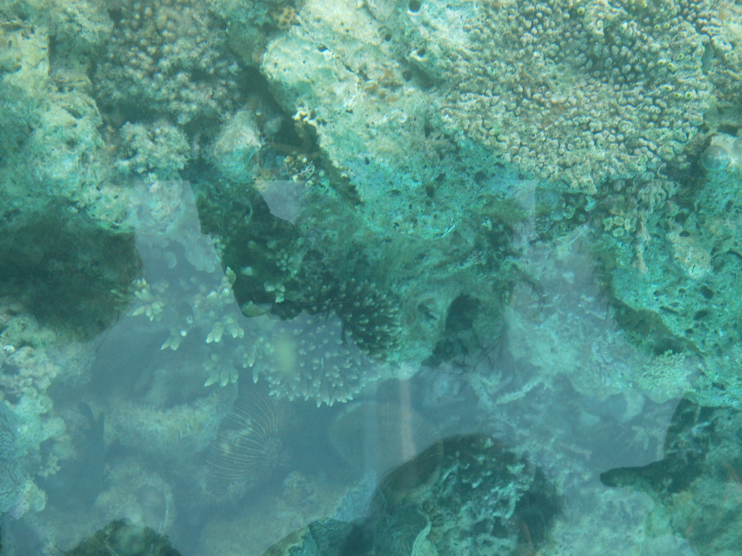 PC272553.JPG