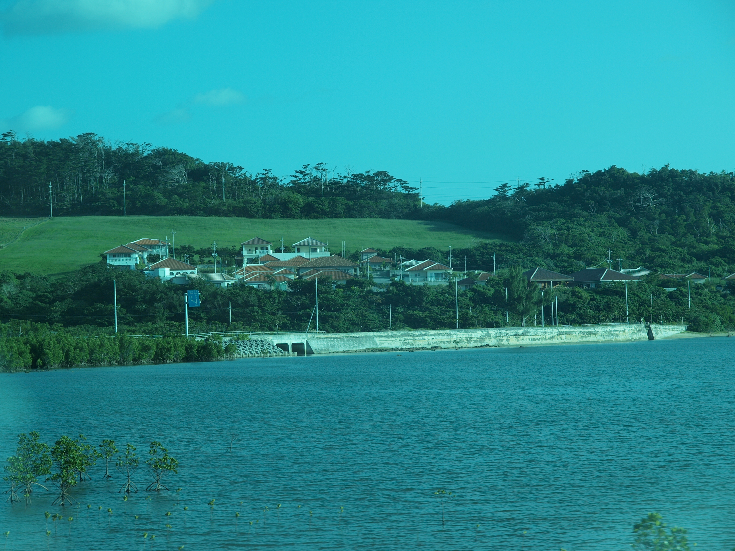 PC272566.JPG