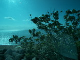img0027.jpg